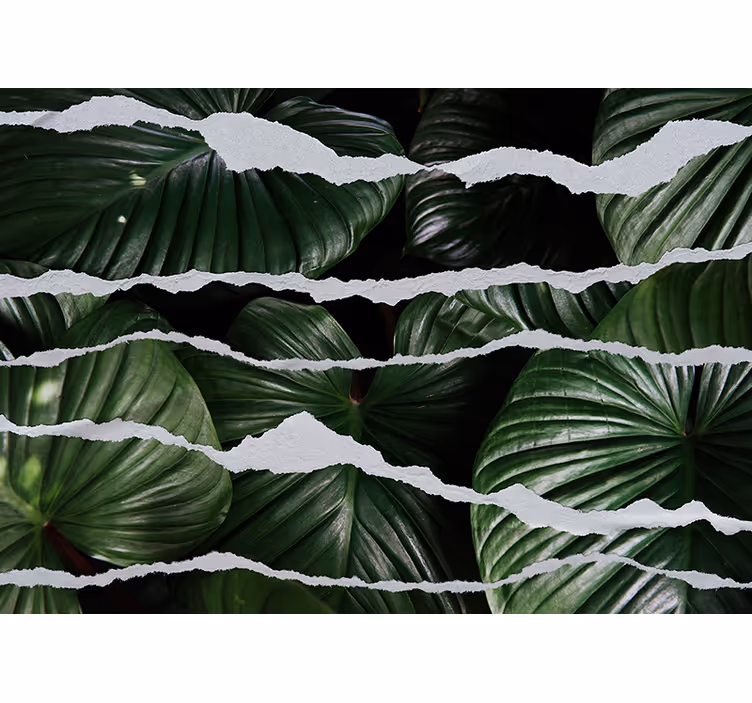 Mural de naturaleza diseño de hojas exuberantes - TenVinilo