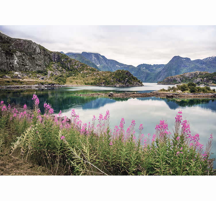 Fotomural de montañas Pasto verde con flores moradas - TenVinilo