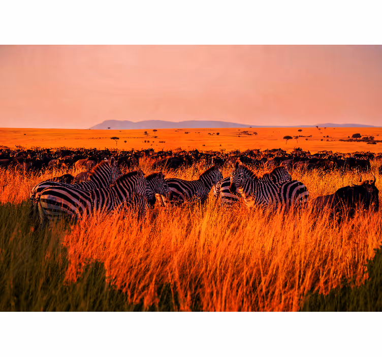 Fotomural africano Hermosa fauna africana - TenVinilo