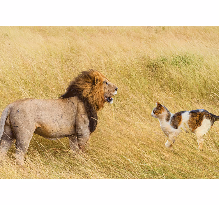 Mural de leones encuentro con un gato - TenVinilo