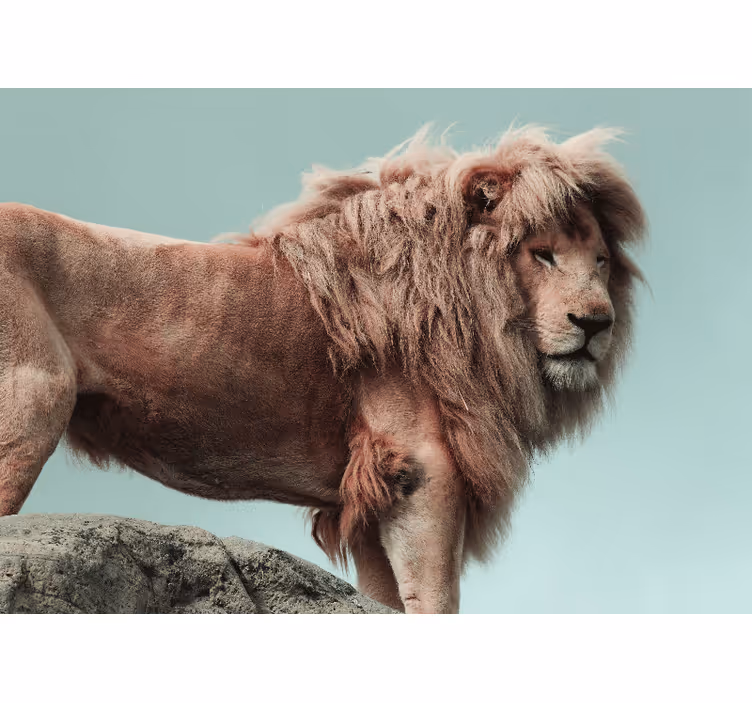 Mural de leones pose del león majestuoso - TenVinilo