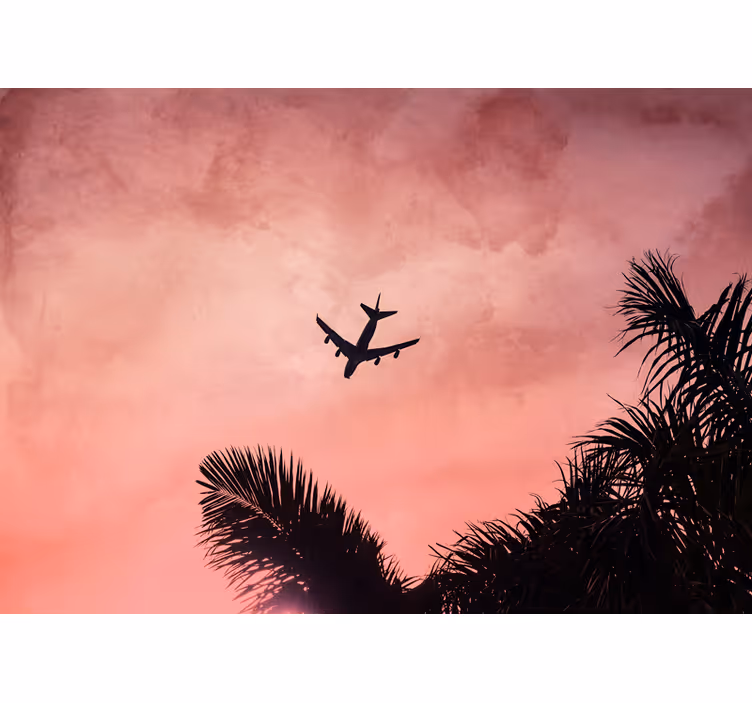 Mural de vehículos silueta de avión al atardecer - TenVinilo