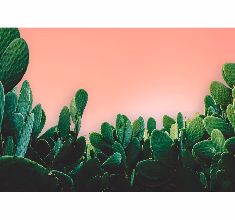 Mural de naturaleza paisaje de cactus - TenVinilo