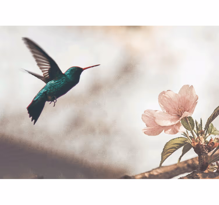 Fotomural arte clásico Conjunto de vectores de flores y pájaros c - TenVinilo