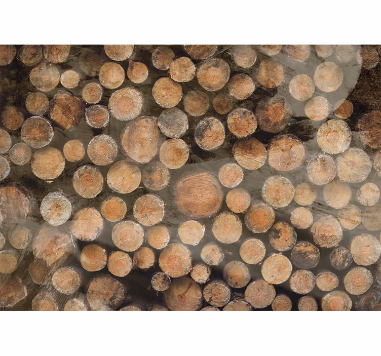 Fotomural de arboles Cortar madera en diferentes tamaños y tonos - TenVinilo