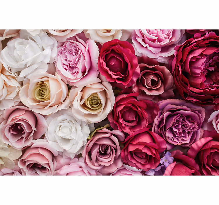 Fotomural flores Rosas rosadas y blancas - TenVinilo