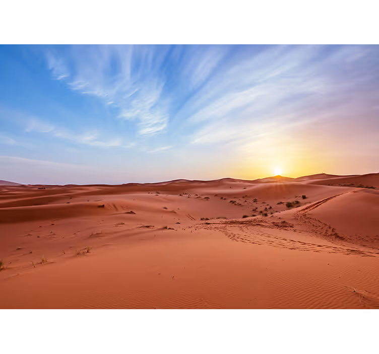 Mural de desierto atardecer dorado en el desierto - TenVinilo
