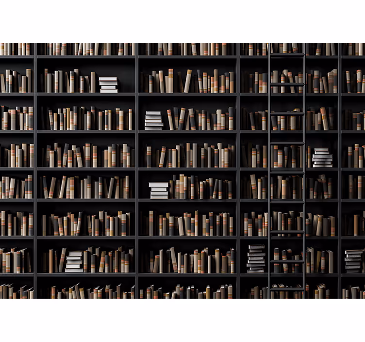 Mural efecto piedra asortimento de libros biblioteca - TenVinilo