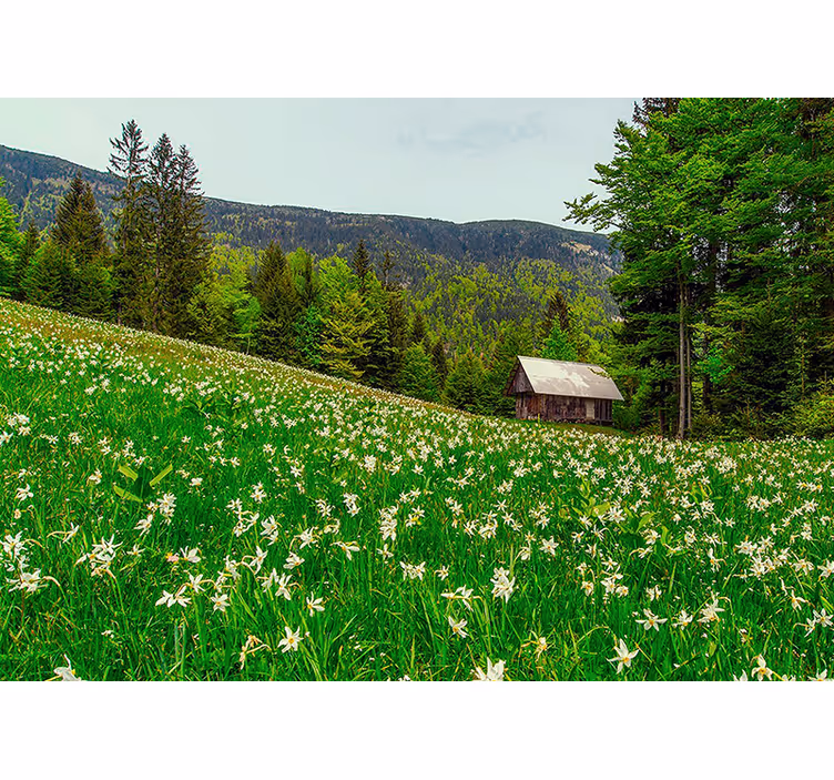 Fotomural naturaleza Paisaje estilo "cottagecore" - TenVinilo