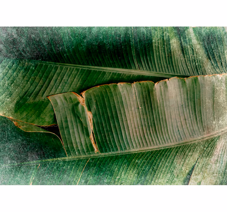 Mural de naturaleza niveles de follaje vibrante - TenVinilo