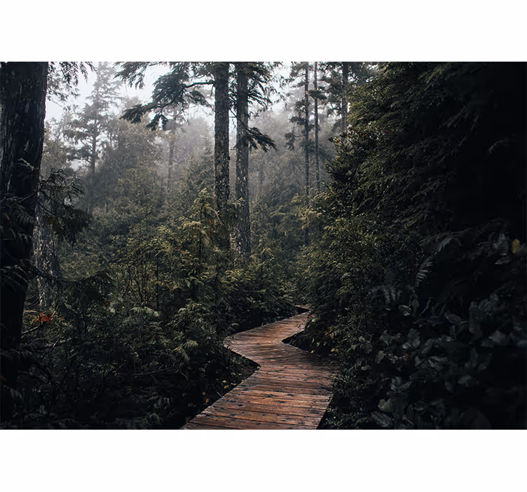 Fotomural naturaleza Camino en el bosque - TenVinilo