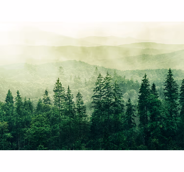 Mural de naturaleza paisaje verde brumoso - TenVinilo