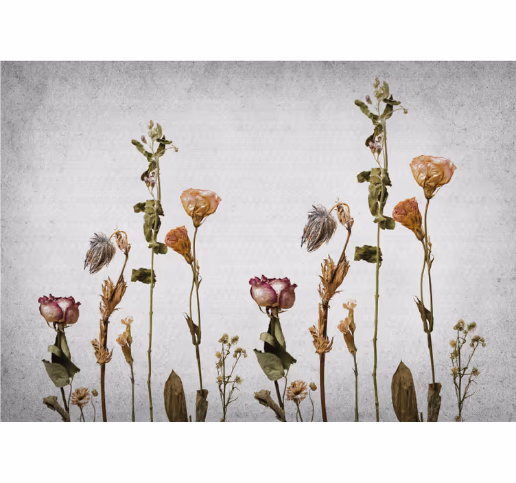 Fotomural prado Plantas secas de estilo escandinavo - TenVinilo