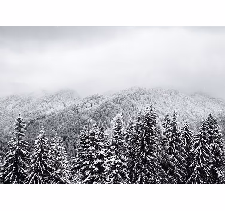 Mural de naturaleza paisaje forestal invernal - TenVinilo