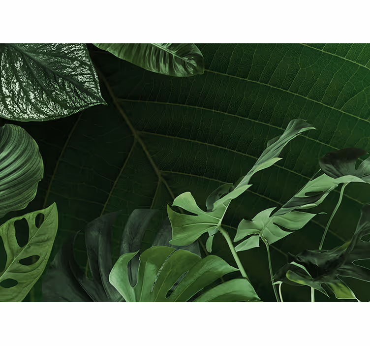 Mural de naturaleza follaje verde exuberante - TenVinilo