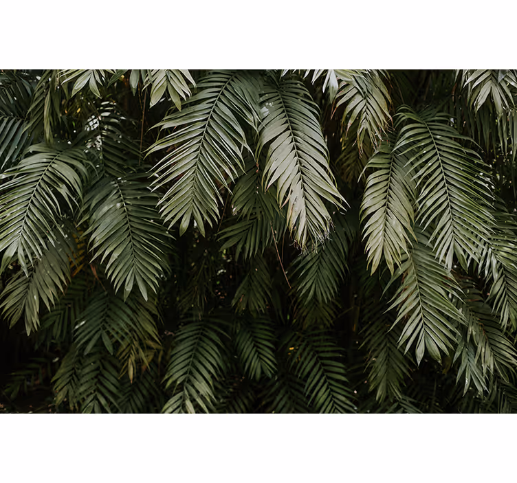 Mural de naturaleza verdor tropical - TenVinilo