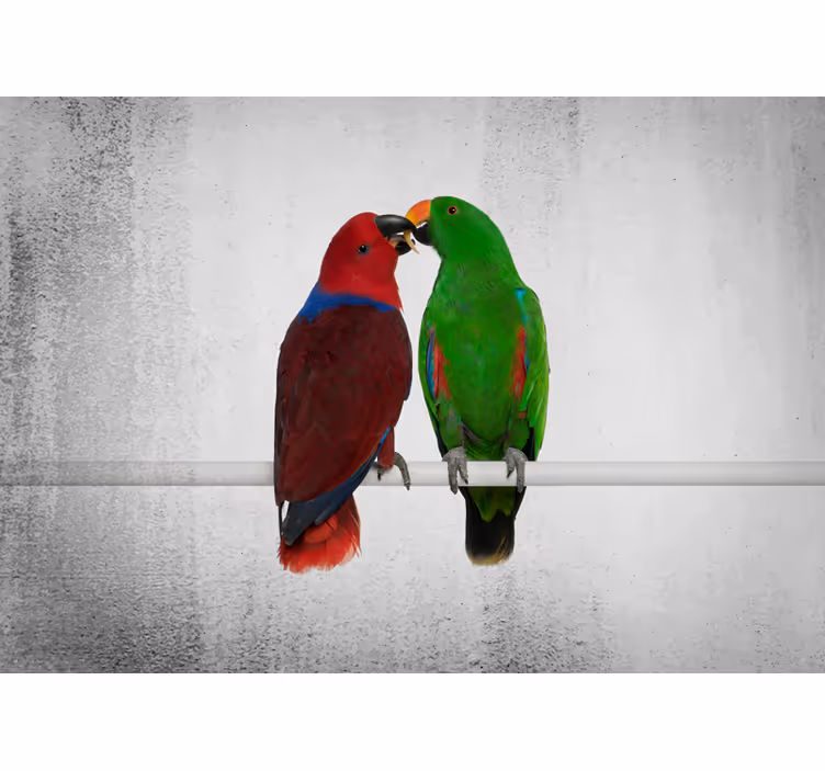 Mural de animales interacción de loros coloridos - TenVinilo