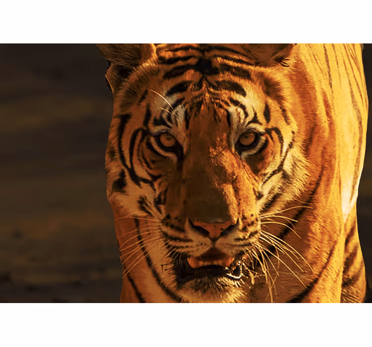 Fotomural animale Tigre amenazador y enojado - TenVinilo