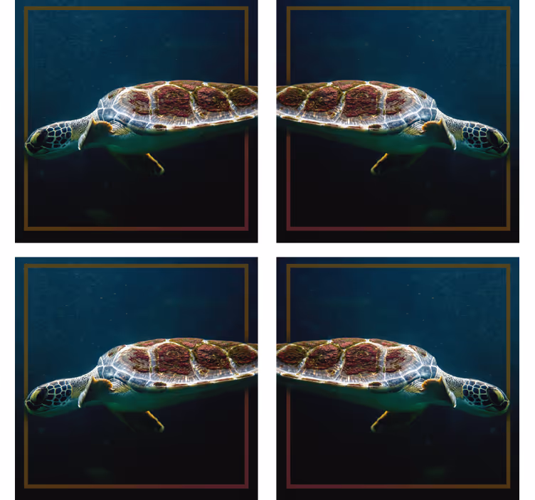 Posavasos moderno imagen de tortuga marina elegante - TenVinilo