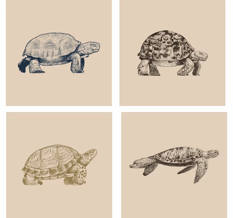 Posavasos vintage dibujos de tortugas - TenVinilo