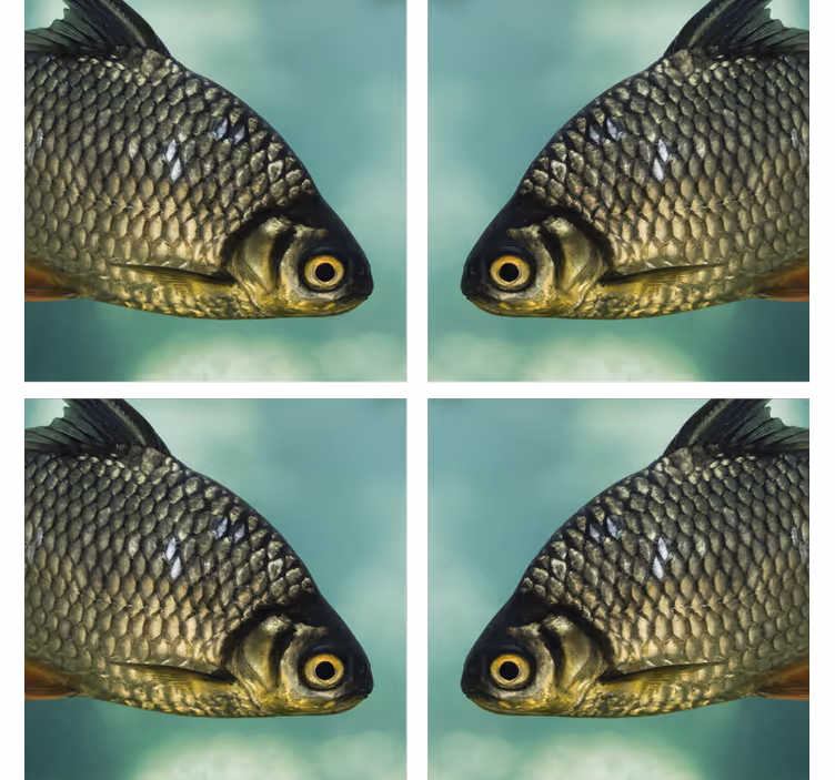 Posavasos de peces carpa realista - TenVinilo