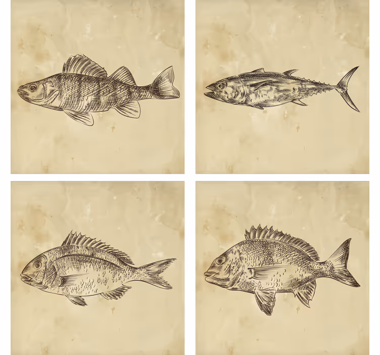 Posavasos frikis ilustración de peces fantásticos - TenVinilo