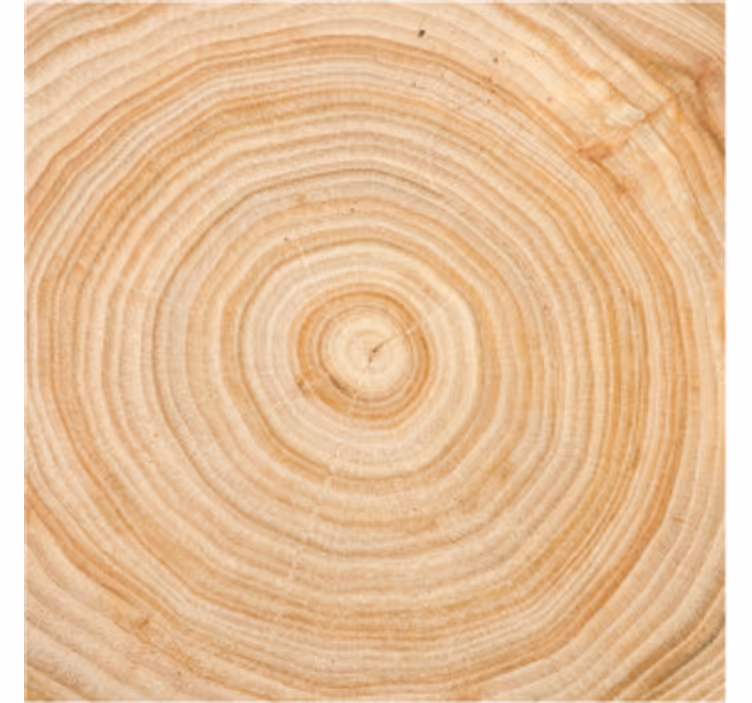 Posavasos textura árbol de corteza de patrón de madera circular - TenVinilo