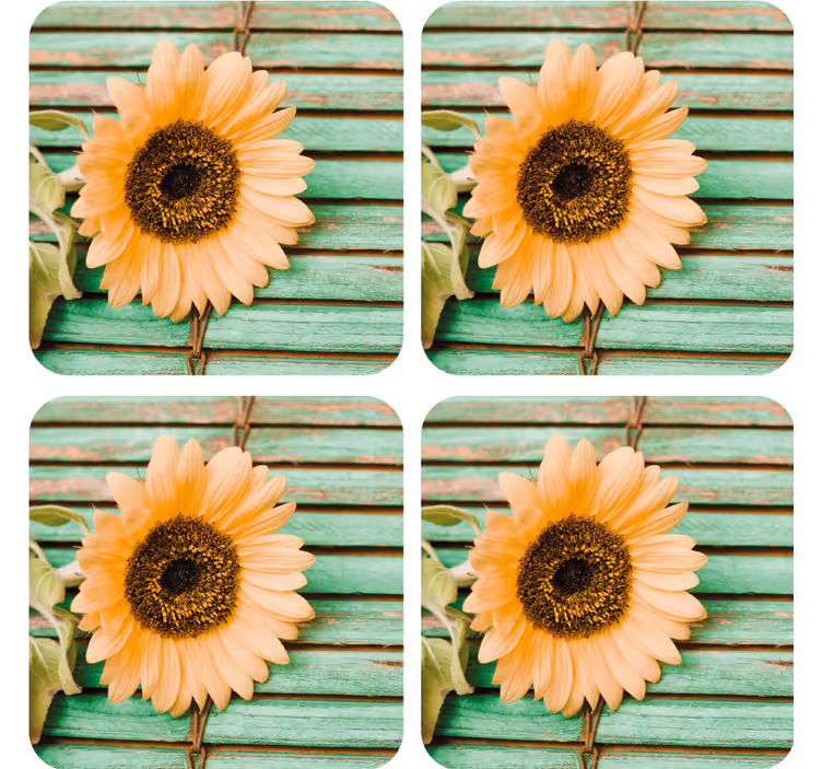 Posavasos moderno girasol con fondo verde - TenVinilo