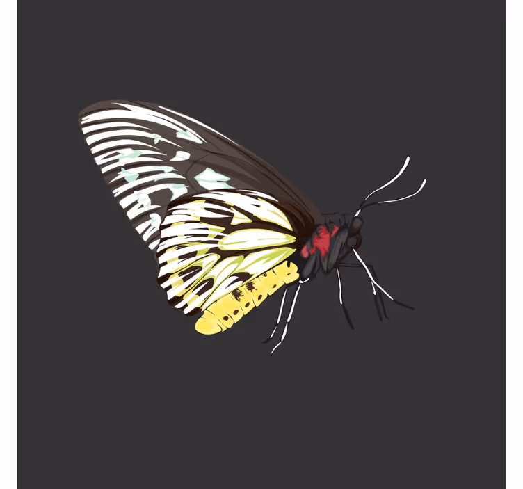 Posavasos frikis arte de mariposas coloridas - TenVinilo