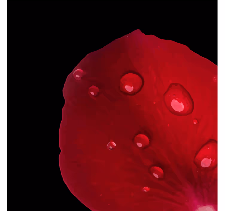 Posavasos pétalo de rosa rocío - TenVinilo