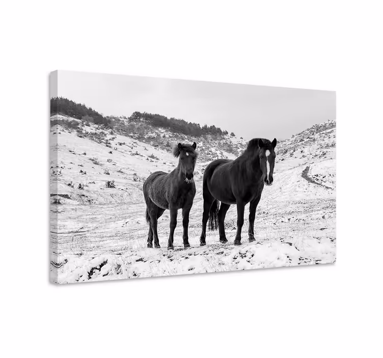 Cuadro caballos en la nieve - TenVinilo