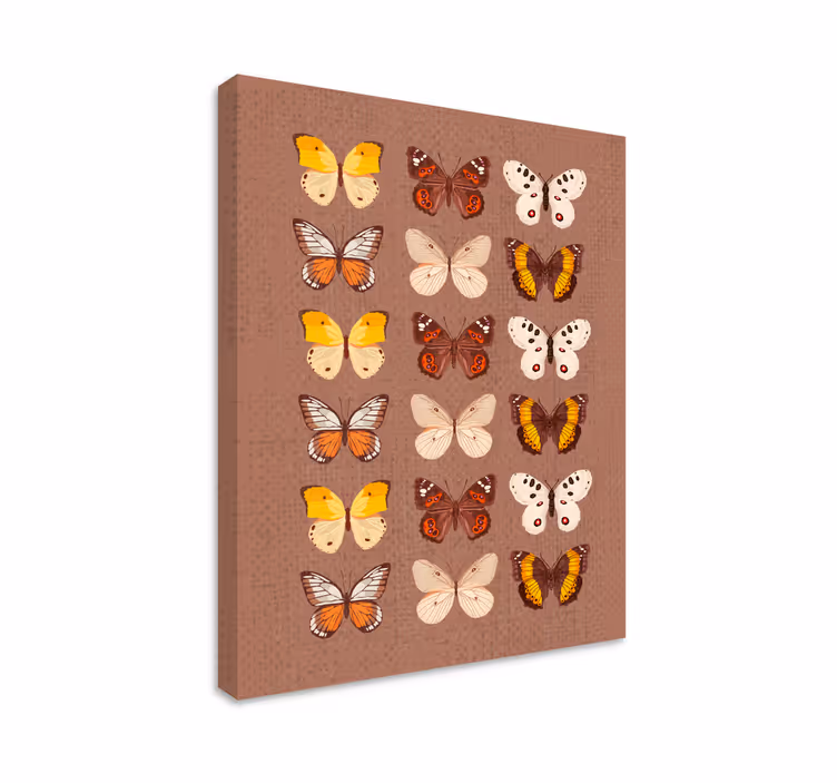 Cuadro vintage Mariposas vintage - TenVinilo