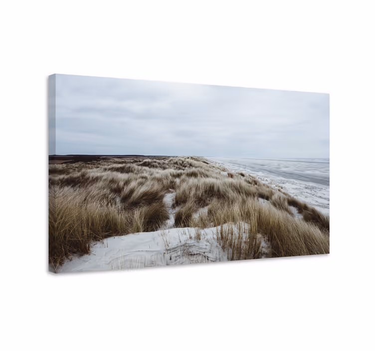 Cuadro paisajes vista de dunas costeras - TenVinilo