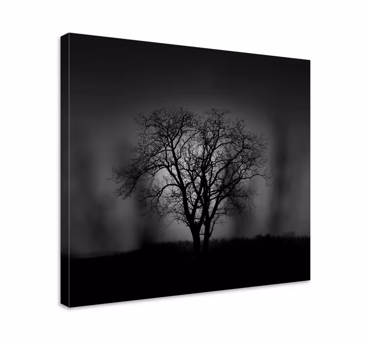 Cuadro árboles árbol brumoso - TenVinilo