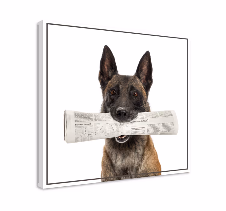 Cuadro de perro llevando periódico - TenVinilo