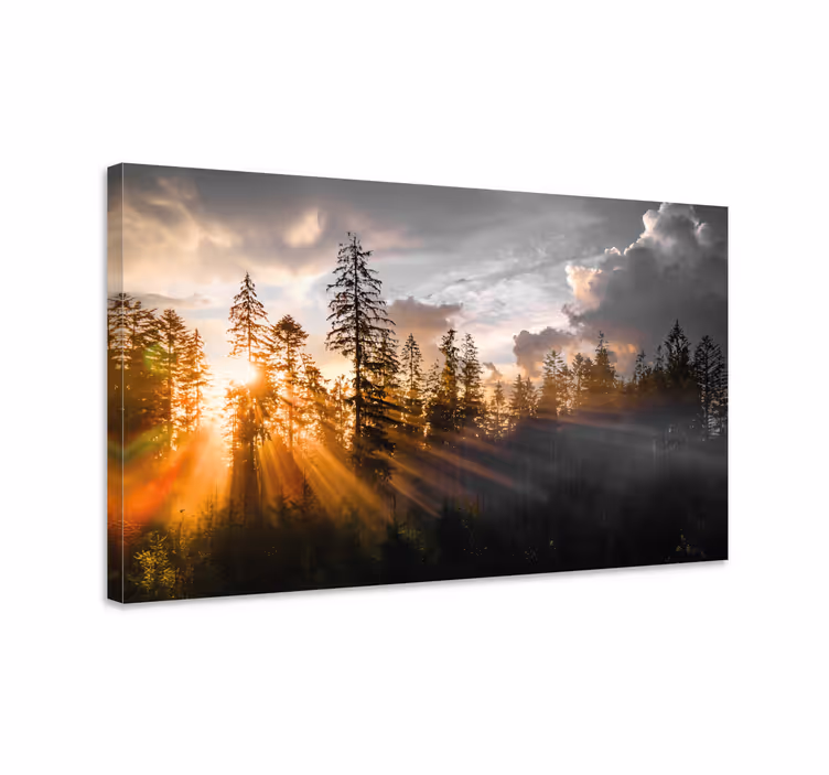 Cuadro paisajes Bosque con niebla y sol - TenVinilo