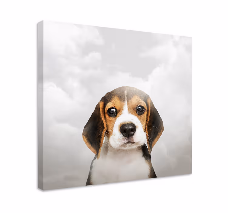Cuadro perro Perro triste - TenVinilo