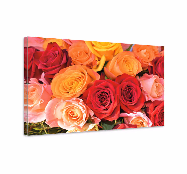 Cuadro de flores Rosas rojas y rosadas naranjas - TenVinilo