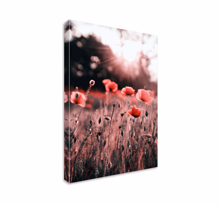 Cuadro de flores Campo de amapolas vago - TenVinilo