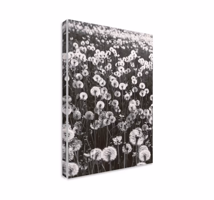 Cuadro de flores Campo grande de diente de león - TenVinilo