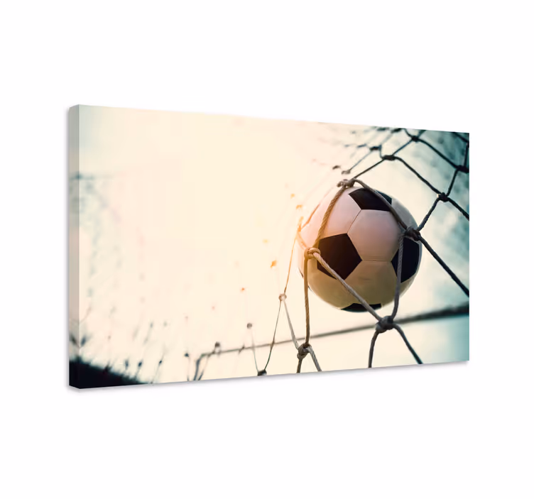 Cuadro peces Fútbol en la red - TenVinilo