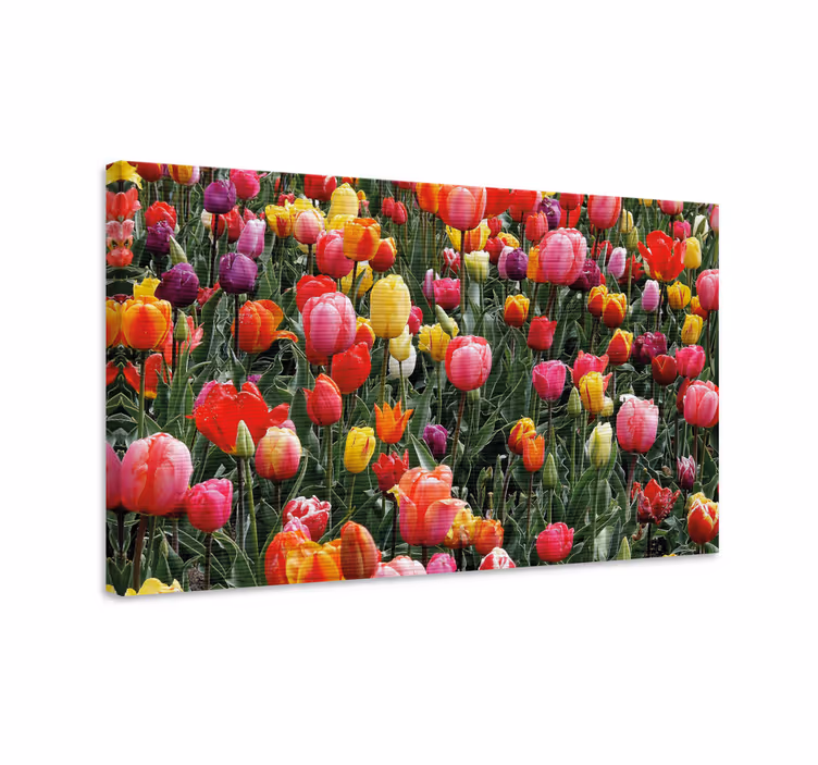 Cuadro de flores ramillete de tulipanes coloridos - TenVinilo