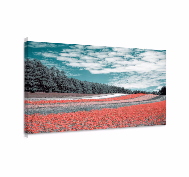 Cuadro paisajes campo de flores vibrantes - TenVinilo