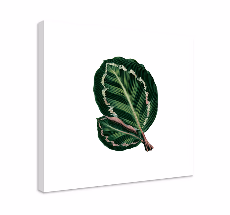 Cuadro de flores diseño de hojas grandes - TenVinilo