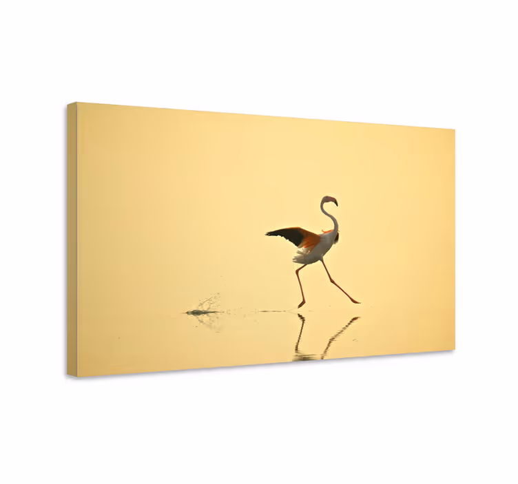 Cuadro aves danza del flamenco elegante - TenVinilo