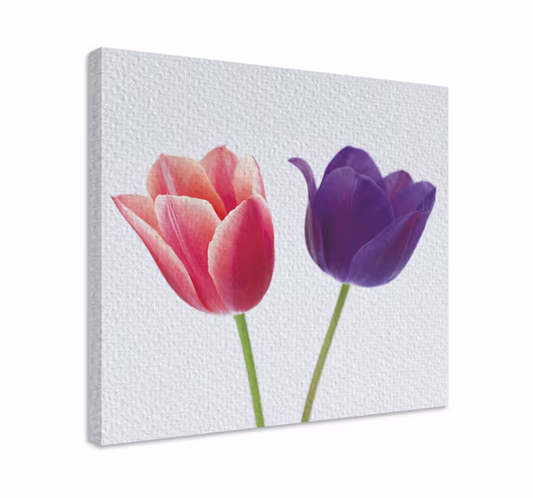 Cuadro de flores Tulipanes morados y rosas - TenVinilo