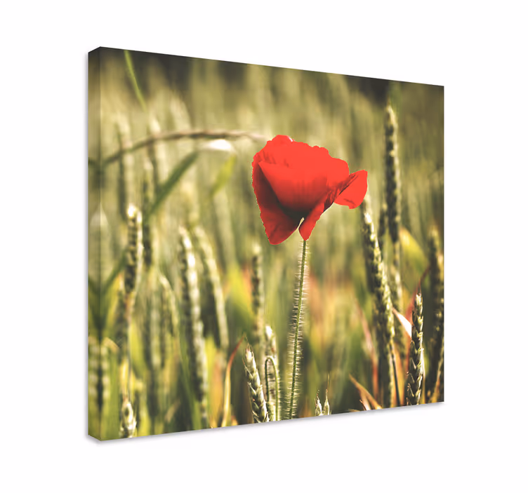 Cuadro de flores flor roja en floración - TenVinilo