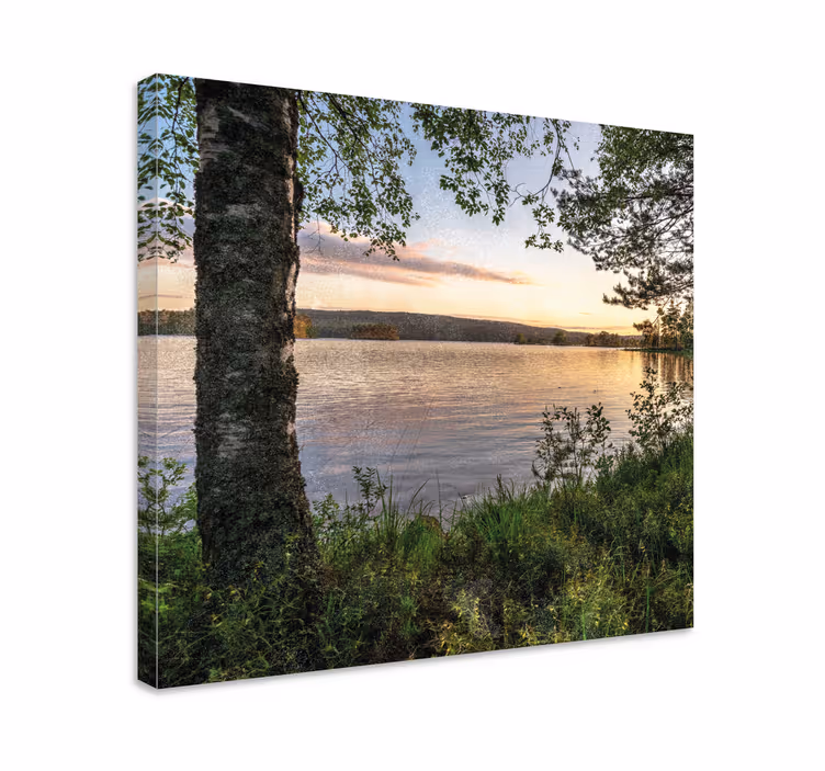 Cuadro paisajes Un bosque junto al lago - TenVinilo