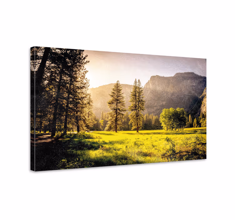 Cuadro paisajes montañas majestuosas - TenVinilo