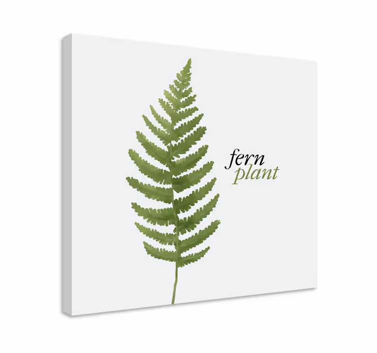 Cuadro frase Planta de helecho estilo minimalista - TenVinilo